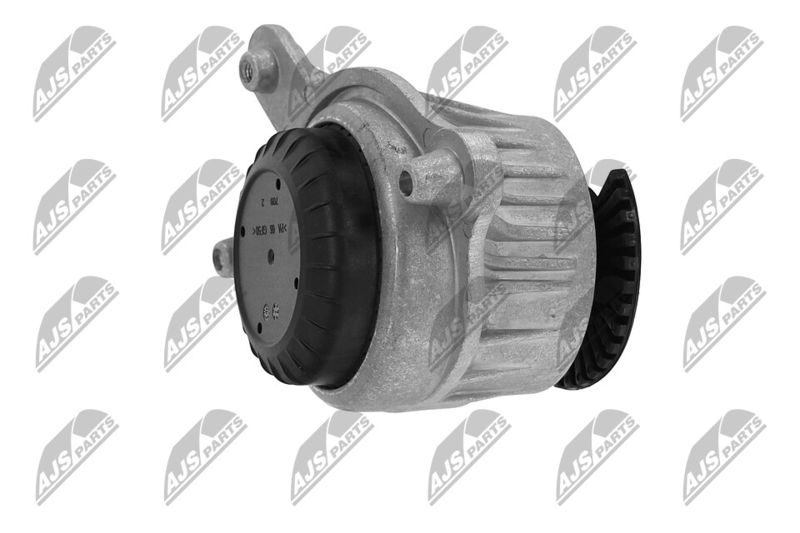 Paigutus, Mootor, NTY ZPS-ME-046