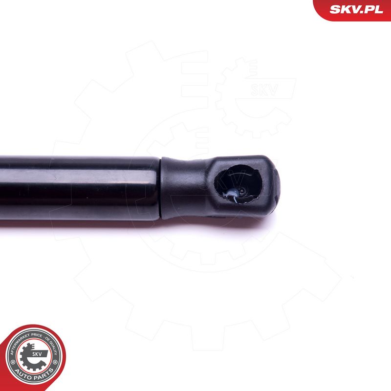 Gaasivedru, pagasi-, veoruum, ESEN SKV 52SKV496