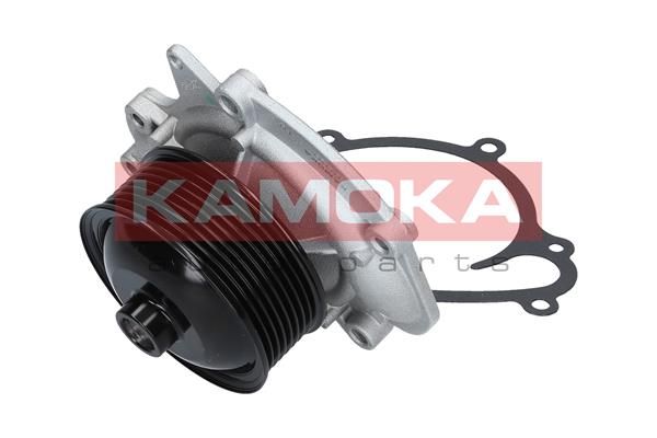 KAMOKA T0191 Water Pump, engine cooling