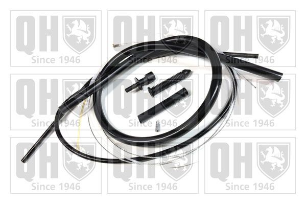 QH_QTC5006.JPG