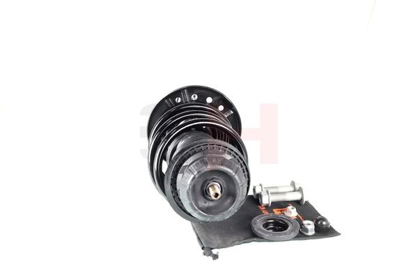Vedruamort, GH GH-353901C01