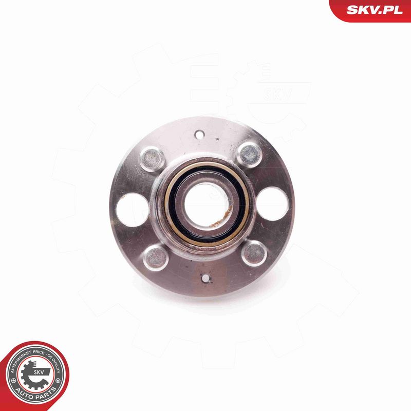 ESEN SKV 29SKV088 Wheel Bearing Kit