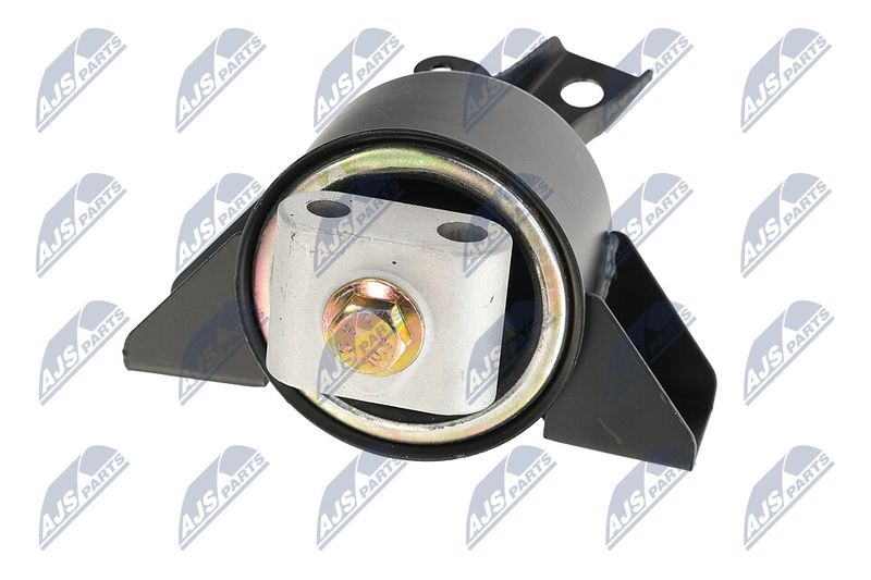 Paigutus, Mootor, NTY ZPS-DW-010