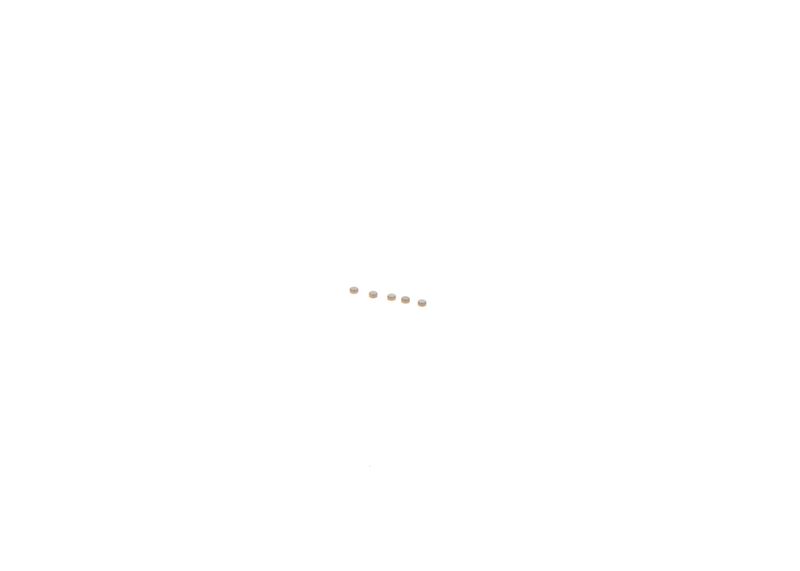 BOSCH F00ZC99725 Repair Kit, common rail system