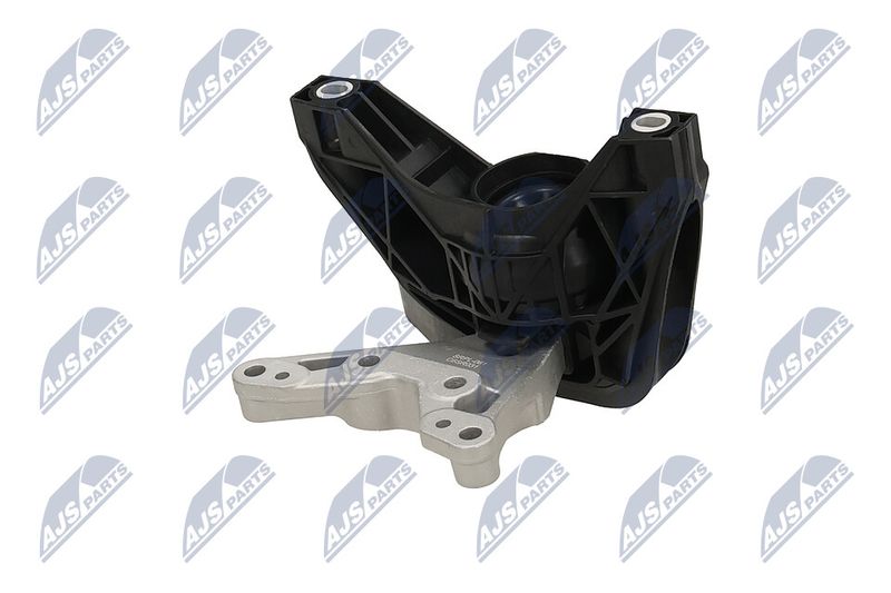 Paigutus, Mootor, NTY ZPS-PL-081