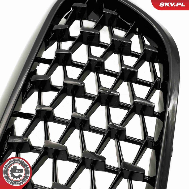 ESEN SKV 66SKV200 Radiator Grille