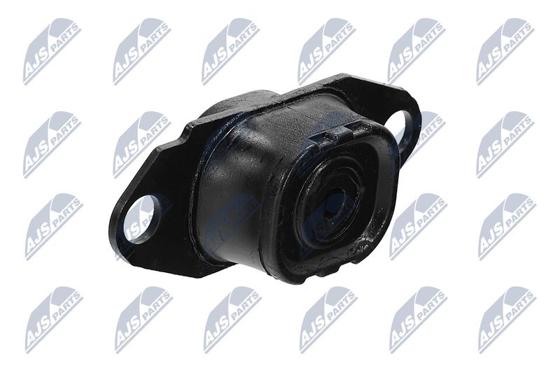 Paigutus, Mootor, NTY ZPS-NS-080