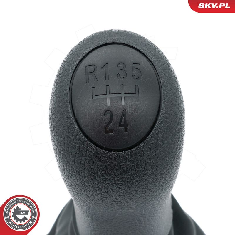 Käigukanginupp, ESEN SKV 63SKV479