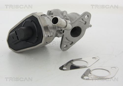 TRISCAN AGR-szelep 8813 16100