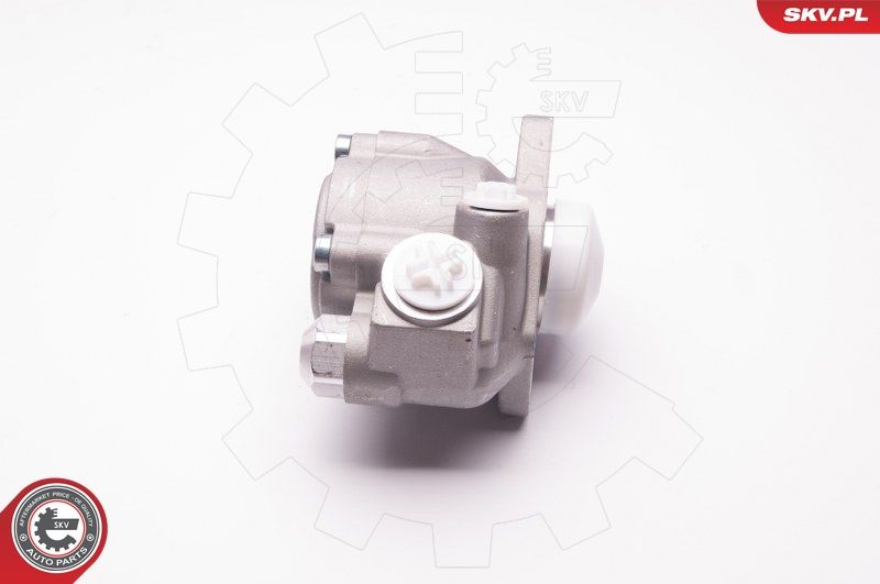 ESEN SKV 1SKV0006 Hydraulic Pump, steering