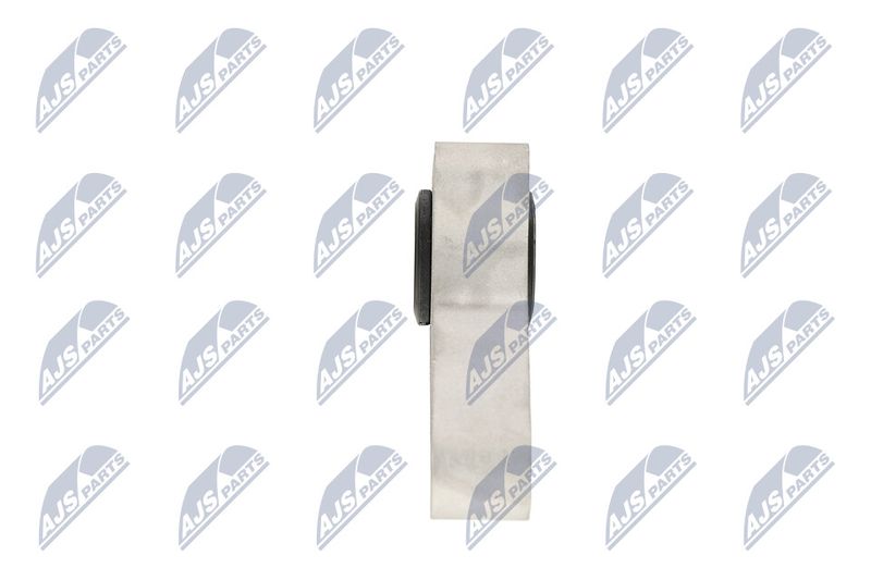 Paigutus, Mootor, NTY ZPS-CH-119