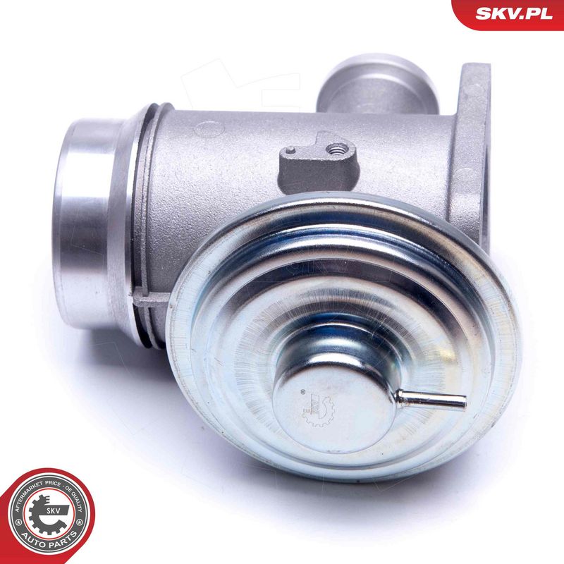 EGR-klapp, ESEN SKV 14SKV176