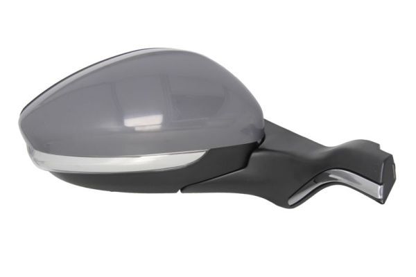 BLIC 5402-08-2002058P Exterior Mirror