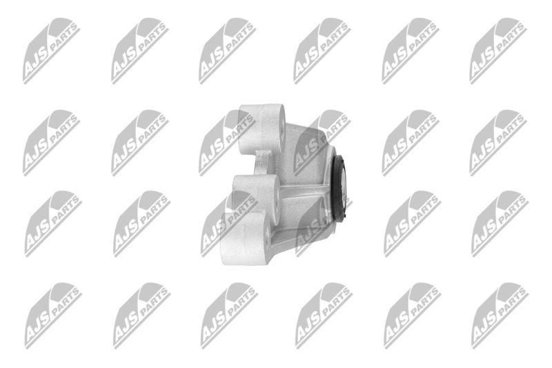 Paigutus, Mootor, NTY ZPS-CH-120