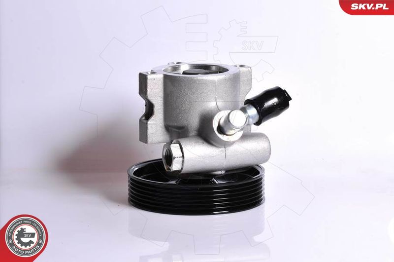 ESEN SKV 10SKV138 Hydraulic Pump, steering