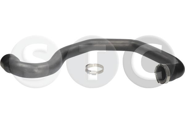79812.JPG