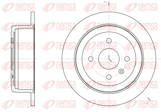 REM6873-00-MODEL.BMP
