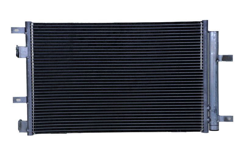 366221251_BACK_TD_1.JPG