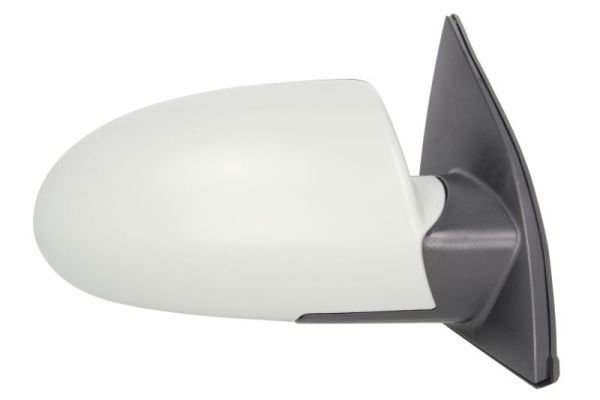BLIC 5402-20-2001360P Exterior Mirror