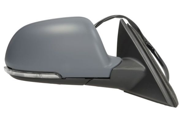 BLIC 5402-43-1318311P Exterior Mirror