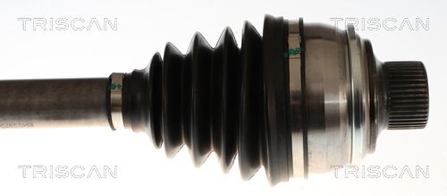 8540297043_3.JPG