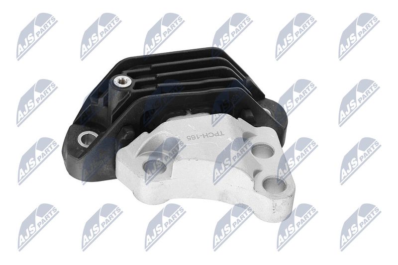 Paigutus, Mootor, NTY ZPS-CH-165