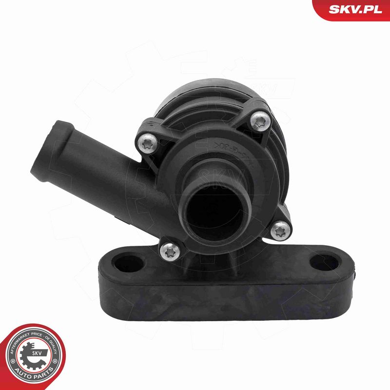 ESEN SKV 22SKV040 Auxiliary Water Pump (cooling water circuit)