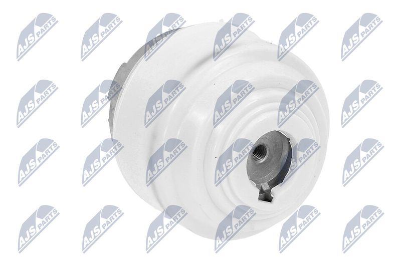 Paigutus, Mootor, NTY ZPS-ME-099