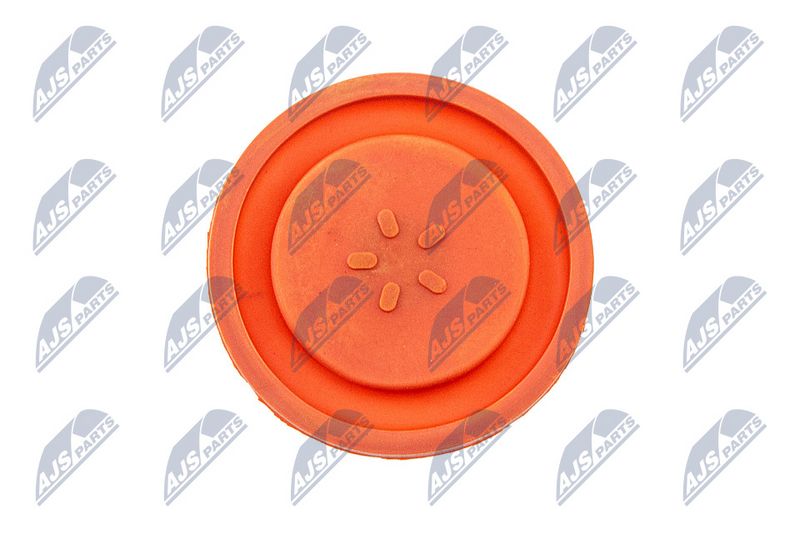 Klapikaas, NTY BPZ-PL-006