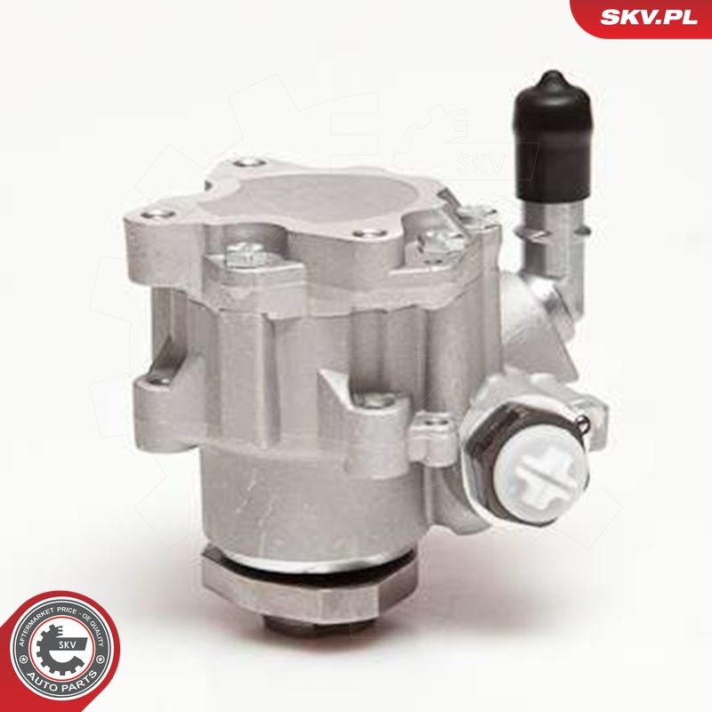 Hüdraulikapump, roolimine, ESEN SKV 10SKV110