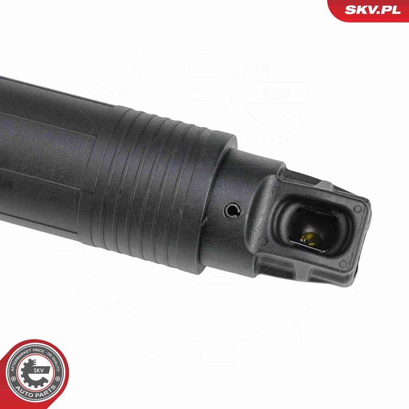 ESEN SKV 52SKV889 Electric Motor, tailgate