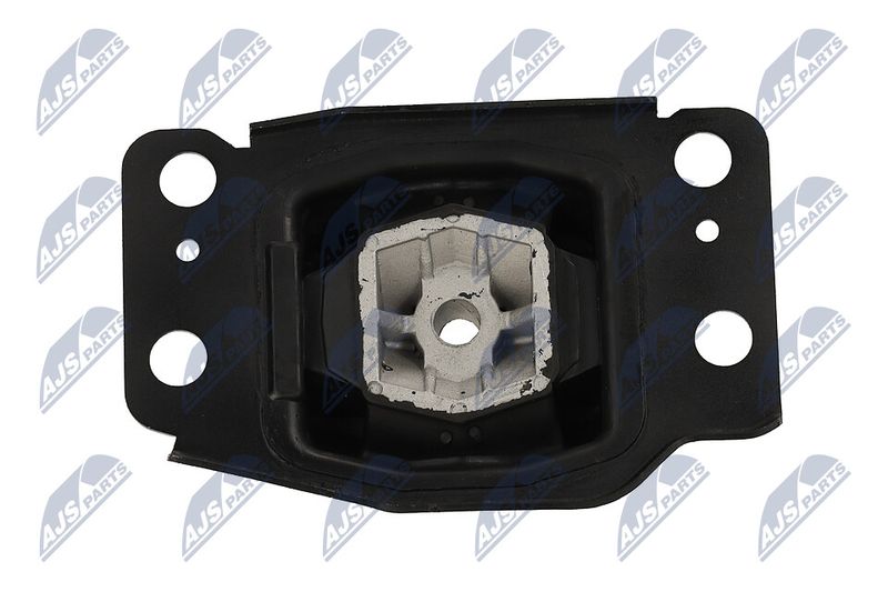 Paigutus, Mootor, NTY ZPS-FR-036