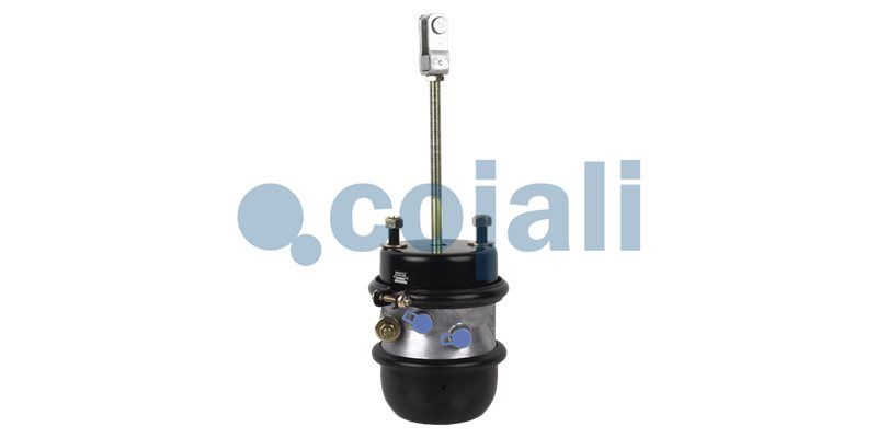 Cilindru multifunctional COJALI 2251425