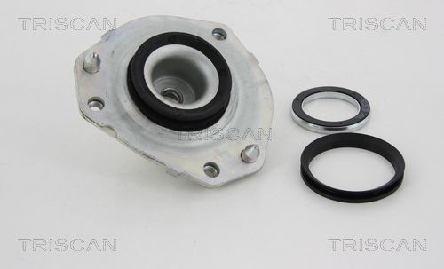 TRIS850010910_2.JPG