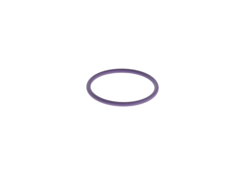 BOSCH F 00H N35 738 Rubber Ring