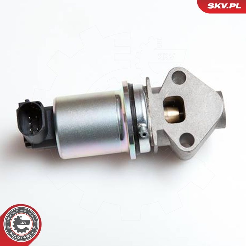 EGR-klapp, ESEN SKV 14SKV043