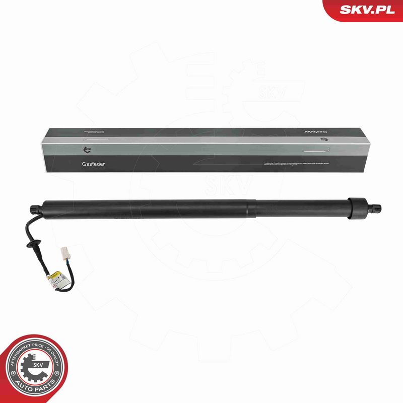 ESEN SKV 52SKV884 - Electric Motor, tailgate