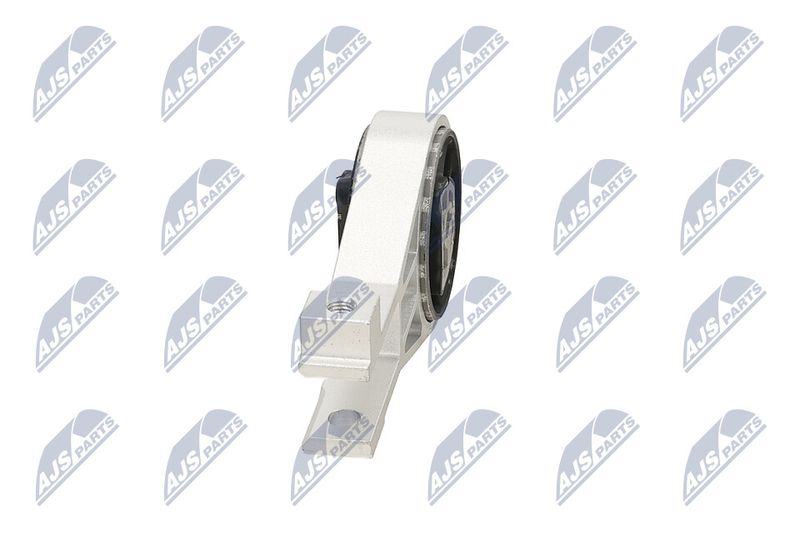Paigutus, Mootor, NTY ZPS-PL-064