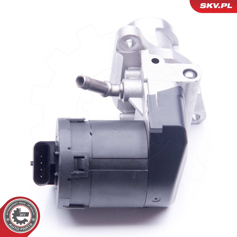 EGR-klapp, ESEN SKV 14SKV169