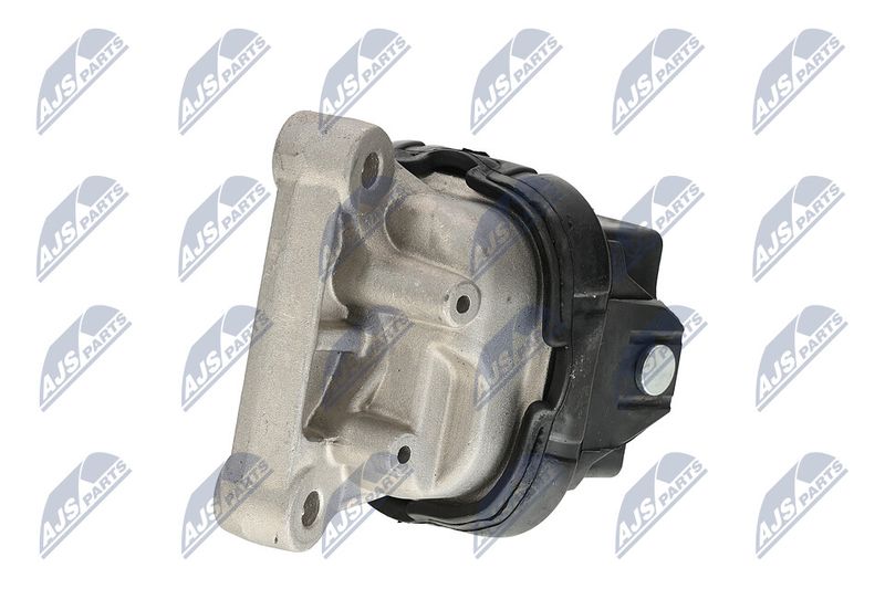 Paigutus, Mootor, NTY ZPS-CH-019