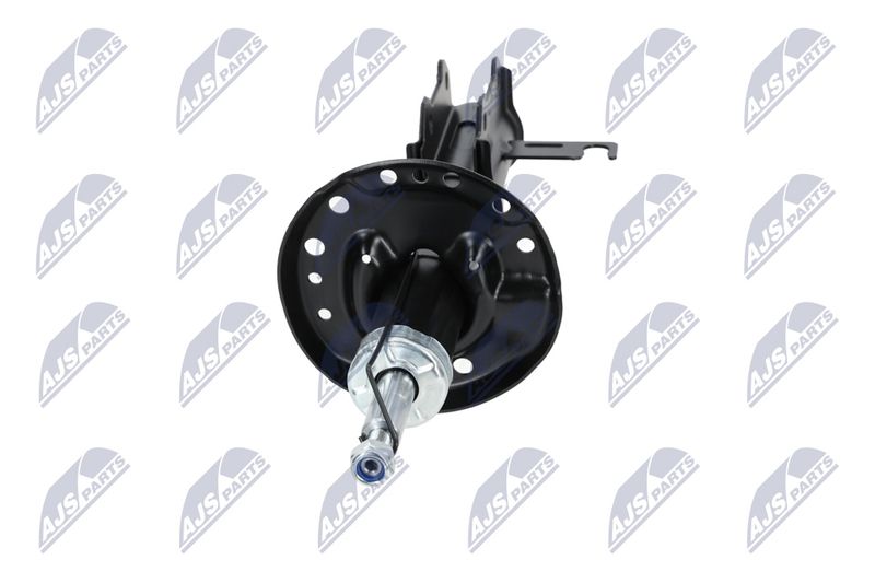 Amort, NTY A-PL-029