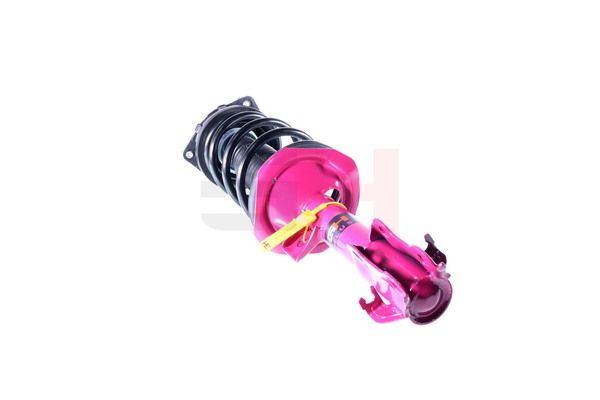 Vedruamort, GH GH-352298C01