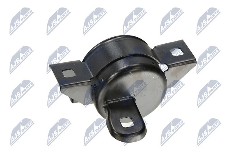 Paigutus, Mootor, NTY ZPS-DW-011