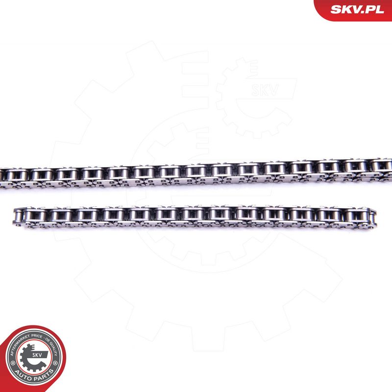 Mootori keti komplekt, ESEN SKV 21SKV209