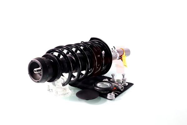 Vedruamort, GH GH-354710C12