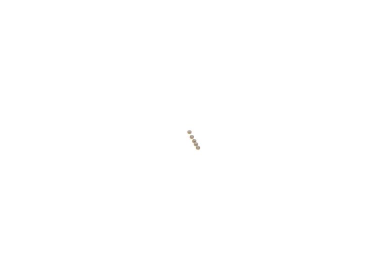 BOSCH F00ZC99742 Repair Kit, common rail system