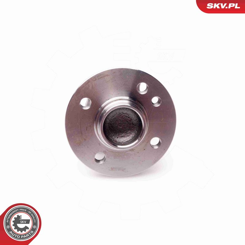 ESEN SKV 29SKV060 Wheel Bearing Kit