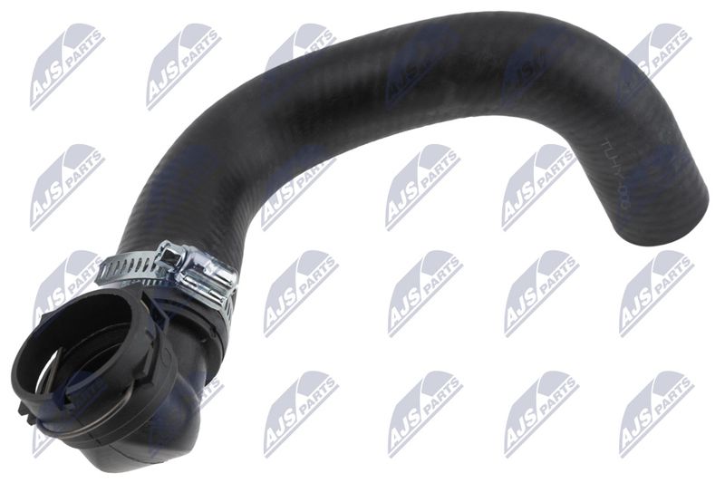CPP-HY-005_1-WM.JPG