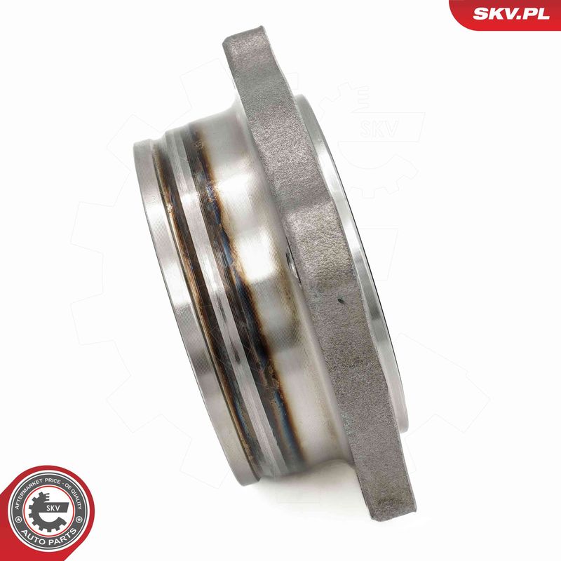 ESEN SKV 29SKV670 Wheel Bearing Kit