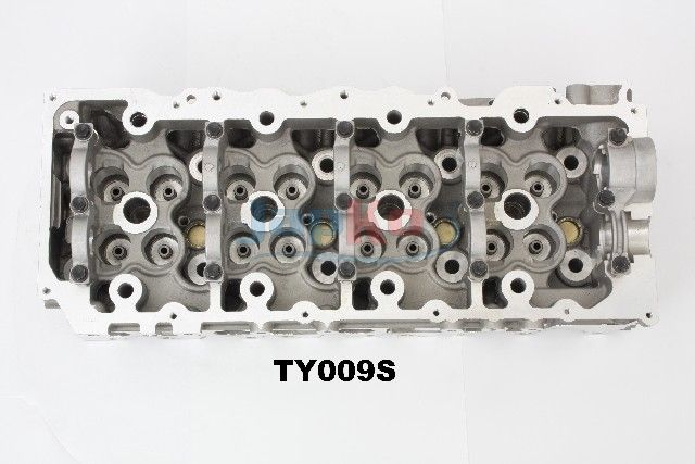 JAPKO JTY009S Cylinder Head